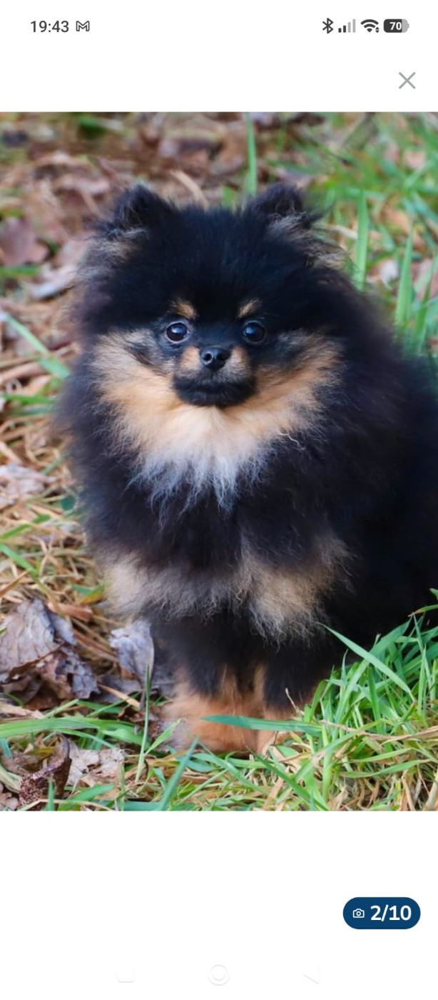 ABBA du domaine de la Tournelle